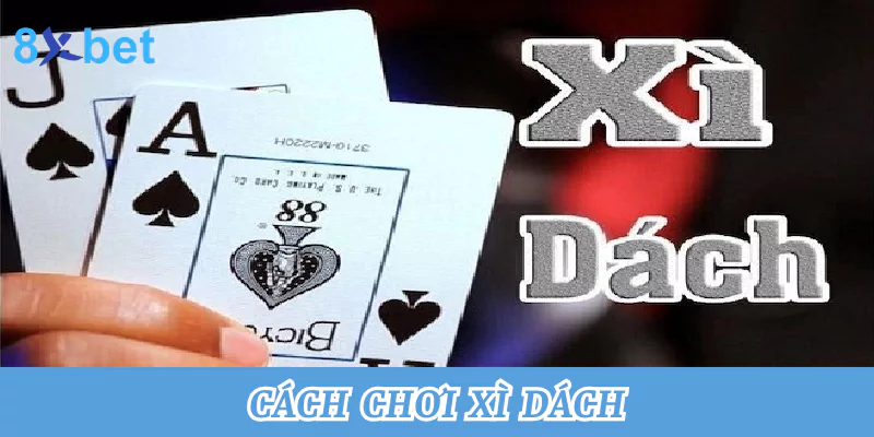 cách chơi xì dách